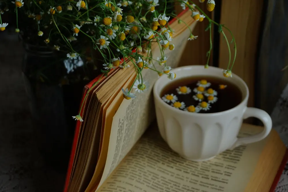 كوب شاي بابونج دافئ يساعد على تهدئة الأعصاب
